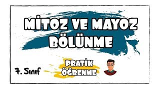 Mitoz ve Mayoz Bölünme  7 Sınıf  Pratik Öğrenme [upl. by Peder102]