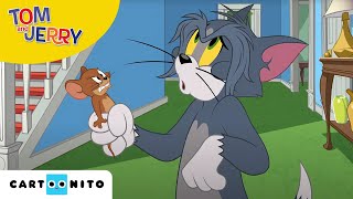 Tom și Jerry  Atacul puricilor  Cartoonito [upl. by Web837]