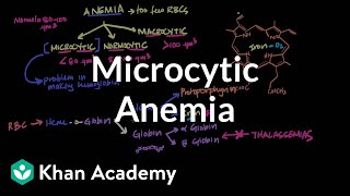 Microcytic anemia  Hematologic System Diseases  NCLEXRN  Khan Academy [upl. by Ecal]