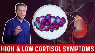 Low vs High Cortisol Levels Symptoms Explained By DrBerg [upl. by Shute]