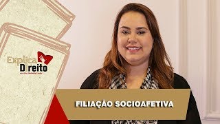 Explica Direito Filiação Socioafetiva  2019 [upl. by Karole]