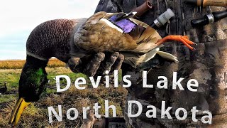 North Dakota Duck Hunting [upl. by Einner816]