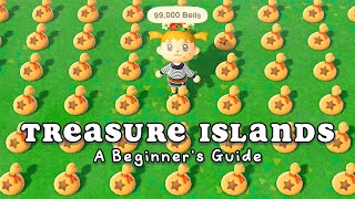 How to use Treasure Islands in Animal Crossing New Horizons [upl. by Nikolia]