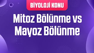 Mitoz Bölünme vs Mayoz Bölünme Karşılaştırma [upl. by Adlesirk]