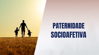 Paternidade socioafetiva [upl. by Resee]