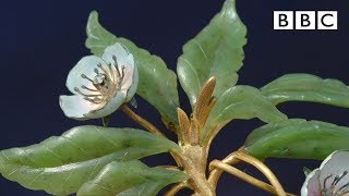 Magical Faberge flower valued at £1 million  Antiques Roadshow  BBC [upl. by Kwon]