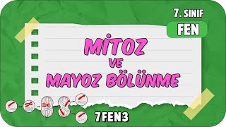 Mitoz ve Mayoz Bölünme 🦠 tonguçCUP 1Sezon  7FEN3 2024 [upl. by Ahsiyk]