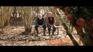 quotMandariinidquot treiler  Tangerines trailer [upl. by Iadam]