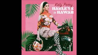 Katy Perry  Harleys in Hawaii  Male version  Lyrics [upl. by Ellehcrad871]