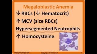 Folate amp B12 Deficiency Megaloblastic Anemia Hypersegmented Macrocytic Methylmalonic [upl. by Hyps]