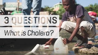 What is Cholera [upl. by Kauffmann]