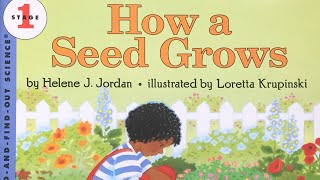 How a Seed Grows  Bobbys Backyard  Story Time [upl. by Etnomed8]