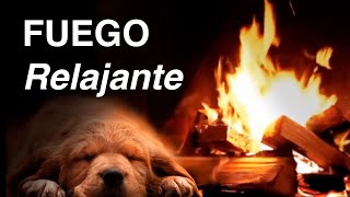 12 Horas de Sonido de Fuego 🔥 Relajante en Chimenea [upl. by Suinotna939]