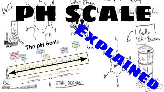 The pH Scale Explained [upl. by Esirehs]