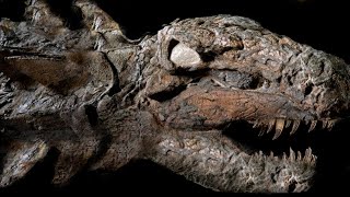 10 Most AMAZING Fossil Discoveries Ever Made [upl. by Yerffe666]