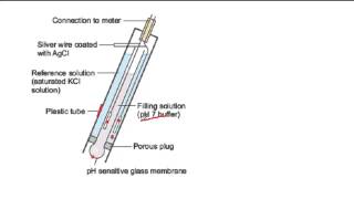 How a pH probe works [upl. by Floridia]