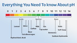 Using a pH Meter  Everything You Need to Know About pH [upl. by Anihsat]