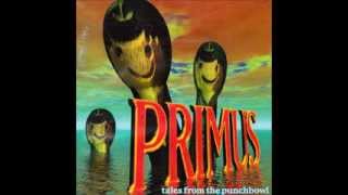 Primus  Wynonas Big Brown Beaver Lyrics in Description [upl. by Atiuqrehs]