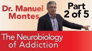 Dr Montes Neurobiology of Addiction Part 2 of 5  The Treatment Center [upl. by Kerr]