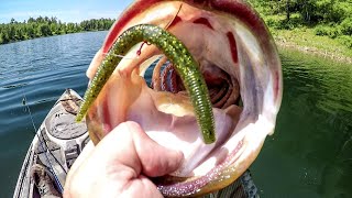 Big Bass CANT RESIST The Wacky Worm [upl. by Marrilee]