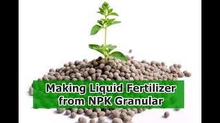 Making Liquid Fertilizer From NPK Granular [upl. by Rosana]