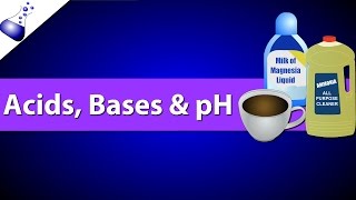 Acids Bases and pH [upl. by Yesdnyl]