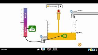 PhET Simulation pH Scale  Mr Pauller [upl. by Eiramac]