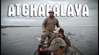 Duck Hunting The Atchafalaya River Louisiana [upl. by Orlosky]