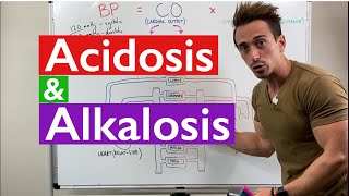 Acidosis and Alkalosis MADE EASY [upl. by Clem]