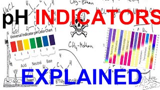 pH Indicators Explained [upl. by Origra870]