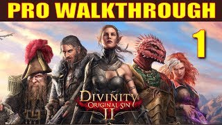 Divinity Original Sin 2 Walkthrough Part 1  5 Things They Dont Tell You in Character Creation [upl. by Wong]