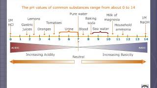 The pH Scale [upl. by Benis660]